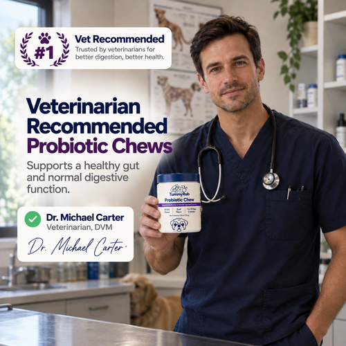 TummyRub's Probiotic Chews
